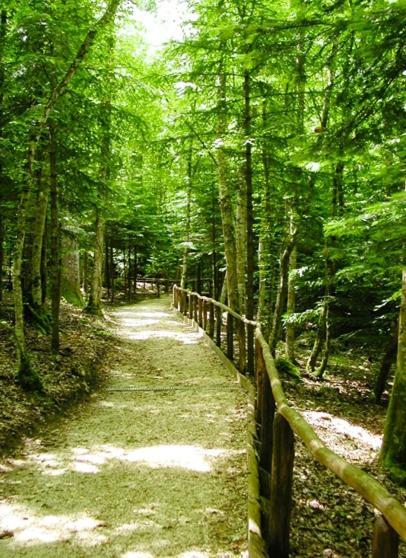 B & B Il Tratturo San Pietro Avellana Экстерьер фото